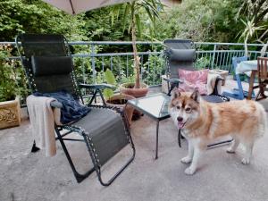 B&B / Chambres d'hotes Domaine L-Insolite KOSI : photos des chambres