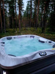 Villa Alpine Eagle Ski-in Ski-out by Aavalevi