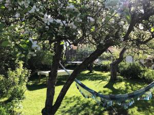 Private house from 1911 own garden 10 mins to city