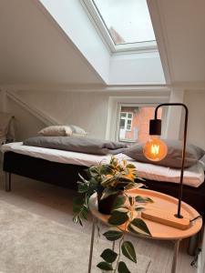 Cozy Pearl in Viborg Centre
