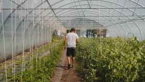 Parcel Tiny House Ty Pois 1, près de la pointe de la torche
