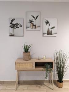 Aux Fleurs des Champs - Appartement avec Terrasse, Parking et Piscine