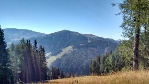 Apartment Almhaus Innerkrems