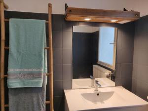 Maisons d'hotes Les Gaudouines : photos des chambres