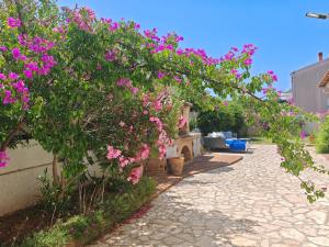 Casa Mia - apartman Zara