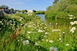 Finest Retreats - Forest Lodge