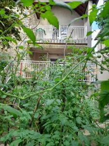 Maisons d'hotes House Garden near Paris Roissy Calm zone : photos des chambres