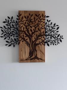 Appartements Appt T3 Residence La Belle Eugenie : photos des chambres