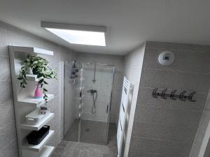 Appartements Appt T3 Residence La Belle Eugenie : photos des chambres