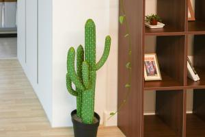 Another stay Jamsil in Seoul