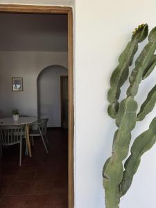 Los jardines de Zahora C02