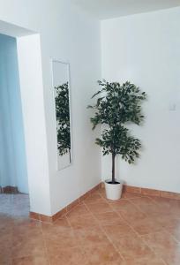 Apartment Karlo - city center