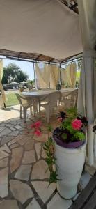 Appartements Mas Provencal au Cannet des Maures : photos des chambres