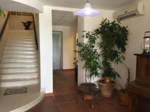 Albergo Belvedere