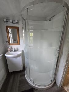 Cozy downtown one bedroom free parking