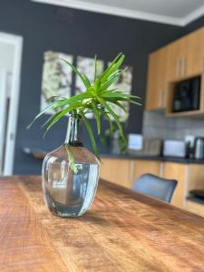 Willow - Cottage - Karoo