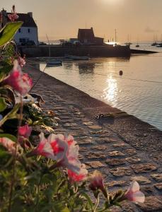 Maisons de vacances Ty laouen : photos des chambres