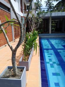 Ko Lake Pool Suites