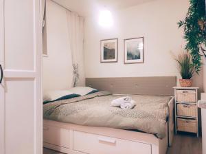 Good vibes apartment in center