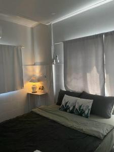 Cat in the box homestay