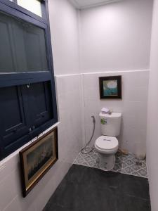 Cat in the box homestay