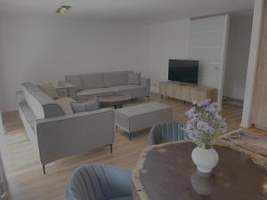 Apartment Stadtgarten