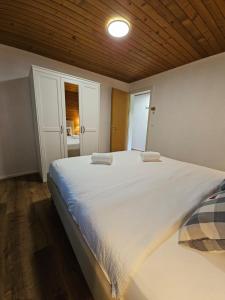 Peak Apartment - Aare Jungfrau AG