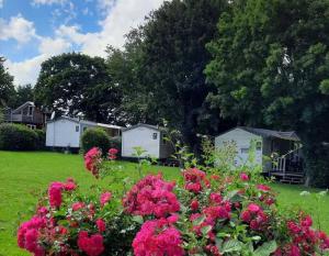 Campings Camping 4 etoiles - Piscine - ccbahgh : photos des chambres