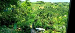 La casa nei vigneti col giardino secreto