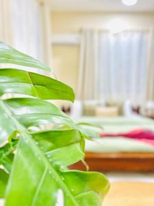 Kale Stone Town Flat