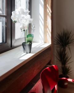 Colonel Suites & Apartments