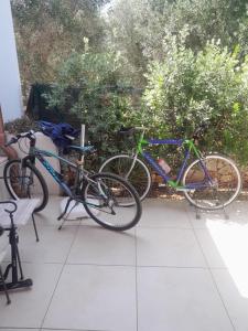 Villa Maresca - countryside house in Carovigno