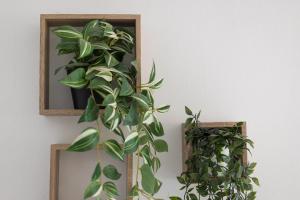 Home2Book Bright & Comfy Stay Pto del Rosario