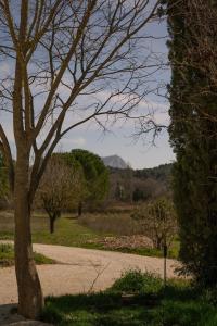 Appartements Studio - Le Sainte-Victoire : photos des chambres