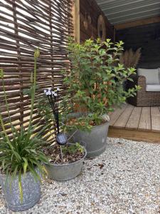 Tentes de luxe La Cabane Mini Enchantee ! : photos des chambres