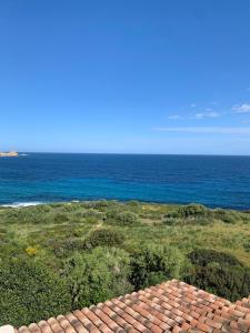 Appartements Superbe appartement vue mer : photos des chambres