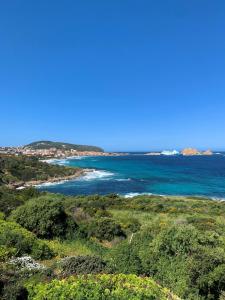 Appartements Superbe appartement vue mer : Appartement - Vue sur Mer