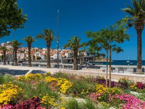 Appartements Appartement a Banyuls-sur-Mer, vue mer, centre-ville, proche plages - FR-1-225C-174 : photos des chambres