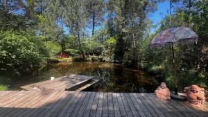 LAquarium de Proust sous les arbres