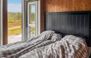 Cozy Home In Hovden I Setesdal - With Jacuzzi