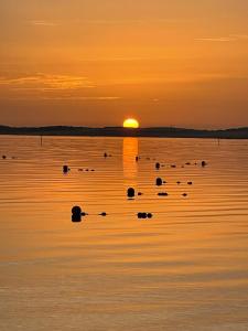 Maisons de vacances Bagatelle House : photos des chambres