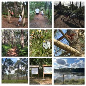 Maisons de vacances Bagatelle House : photos des chambres