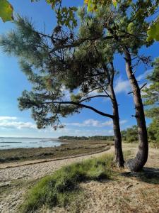 Maisons de vacances Bagatelle House : photos des chambres