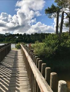 Maisons de vacances Bagatelle House : photos des chambres