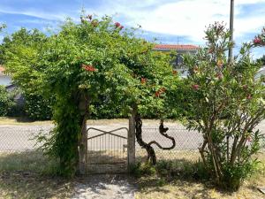 Maisons de vacances Bagatelle House : photos des chambres
