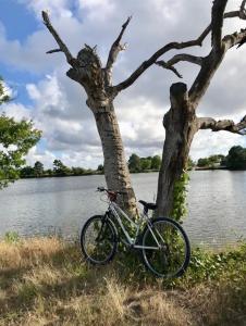 Maisons de vacances Bagatelle House : photos des chambres