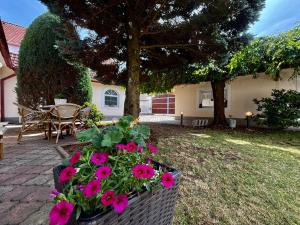 Domeček U zámeckého parku