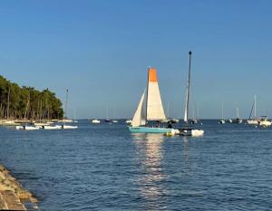 Maisons de vacances Bagatelle House : photos des chambres