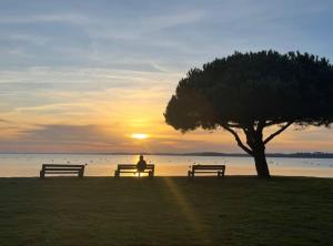 Maisons de vacances Bagatelle House : photos des chambres