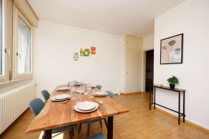 Spacious Zurich Apt Huge Terrace & Views